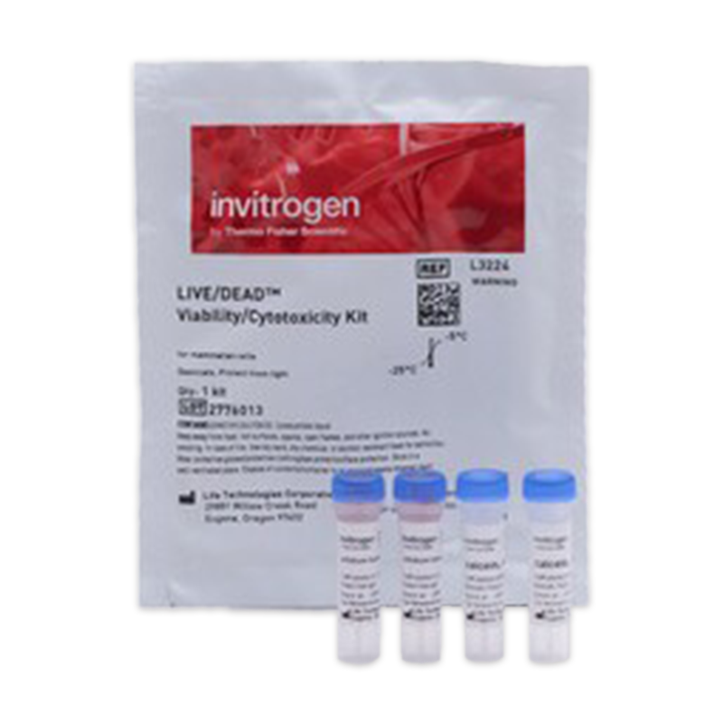 Invitrogen™ LIVE/DEAD™ Viability/Cytotoxicity Kit, for Mammalian Cells