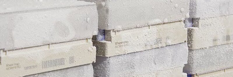 Thermo Scientific Cold Storage Solutions Flyer