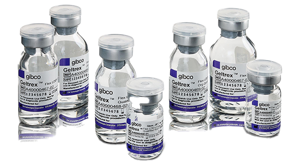 BINDER Cooling Incubators and Constant Climate Chambers