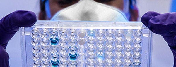 Analytical and Microbial Quality Control