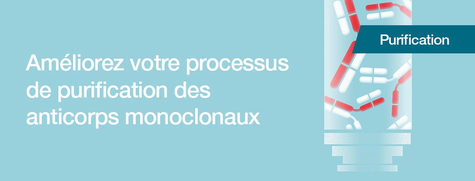 Résines de chromatographie protéine A