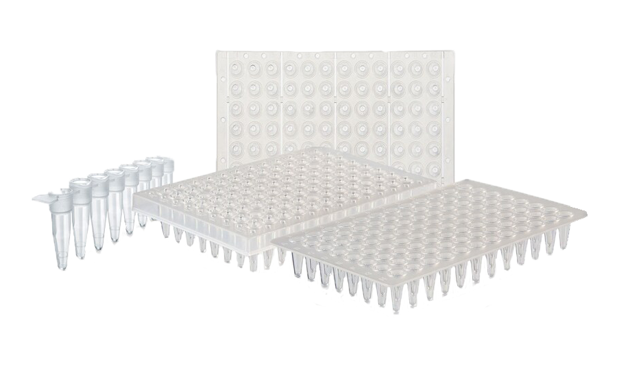 25225_PCR_Transparent