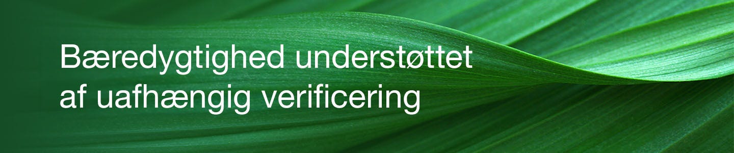 Greener Choice Banner