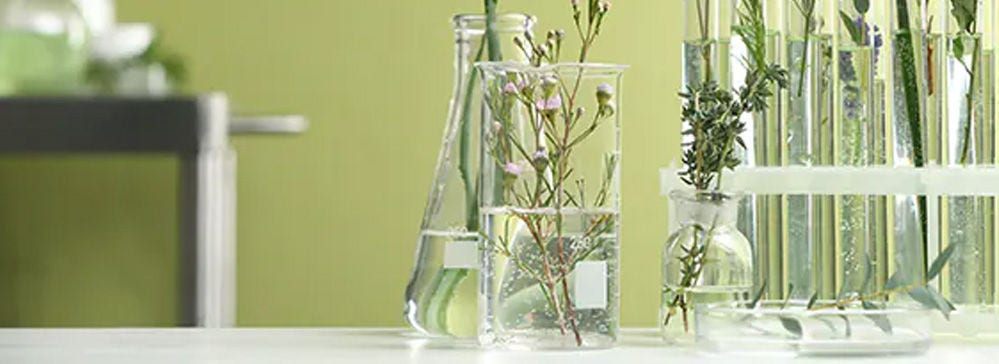 Chemical, Performance Materials (PFM) and Cosmetic