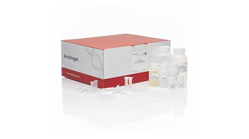 DNA Extraction Purification