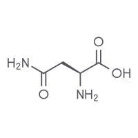 Asparagine