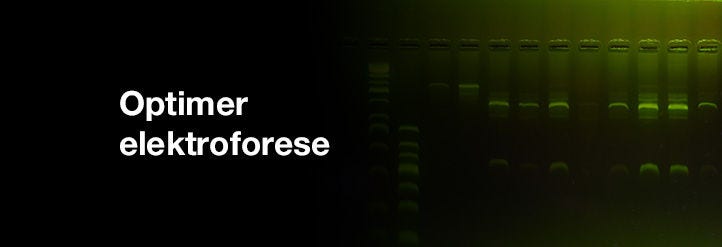 Optimer elektroforese