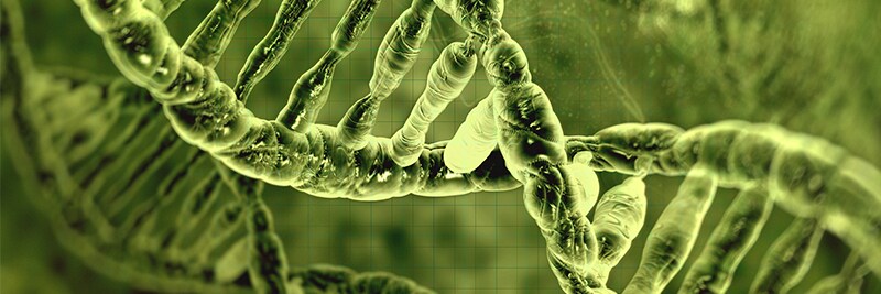 Fisher Science Education Nucleic Acid and PCR Flier
