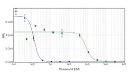 Cytokine Analysis