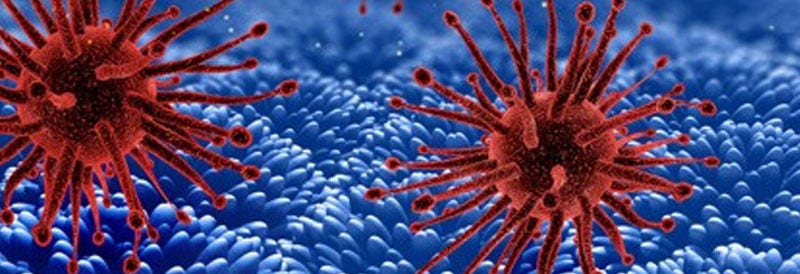 Scientists Discover New Virus-Like Entities, Obelisks, in Human Gut and Mouth Bacteria