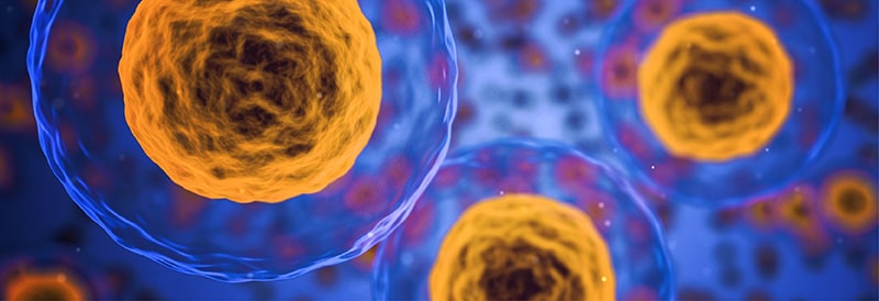 Cell-Based Assays