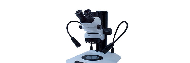 Research Zoom Stereo Microscopes