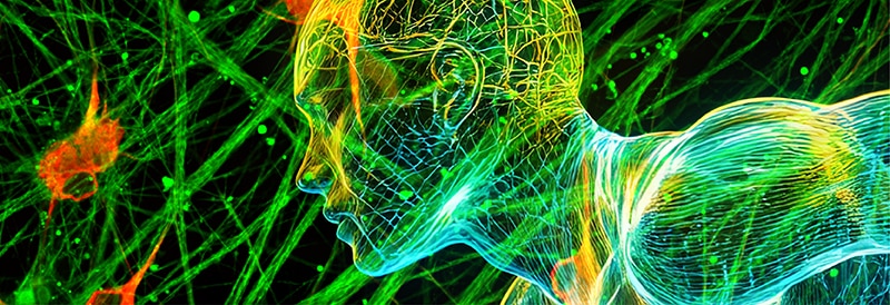 New Therapeutic Modalities