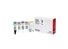 Hot Start PCR Reagents and Kits