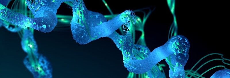 Multi-Attribute Method in Therapeutic Protein Manufacturing