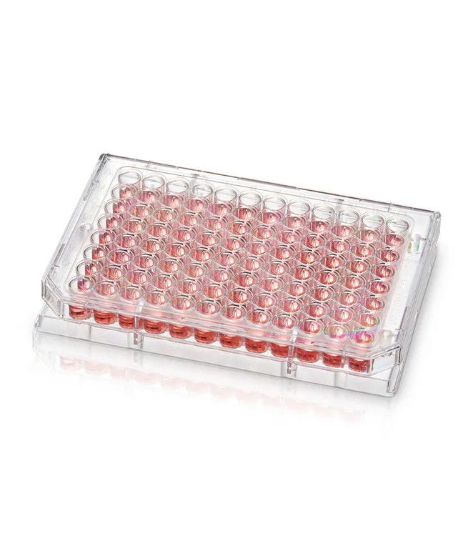 Surface Binding Assay Microplates