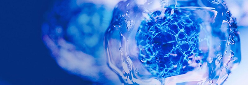 Cell Analysis Methods