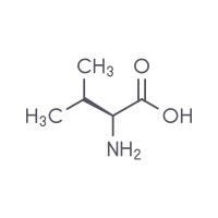 Valine