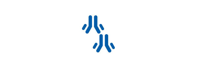 Immunpræcipitation (IP) / Kromatin-immunpræcipitation (ChIP)