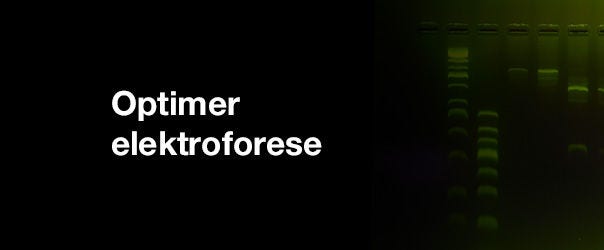 Focus on Electrophoresis