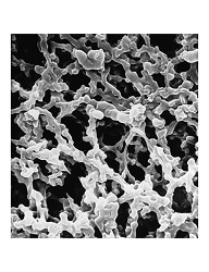 Contec™ Sterile IPA