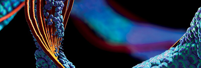 Power Your Protein Research From Collection to Analysis