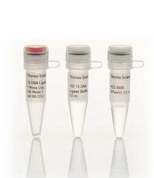 Thermo Scientific™ T4 DNA Ligase (5 U/μL)
