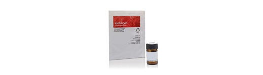Invitrogen™ DAPI- og Hoechst-nukleinsyrefarvestoffer