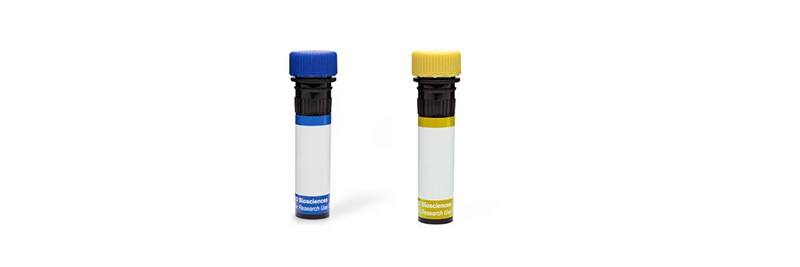 BD Horizon RealBlue and RealYellow Dyes 