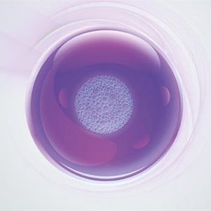 cellculture-basics
