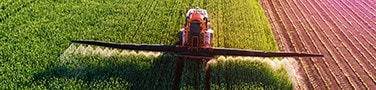 13506_Farmer