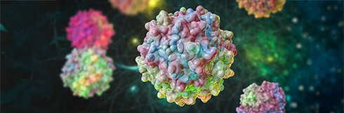 Pourquoi envisager la SEC pour analyser les agrégats d'AAV ? Pourquoi envisager la SEC pour analyser les agrégats d'AAV ?