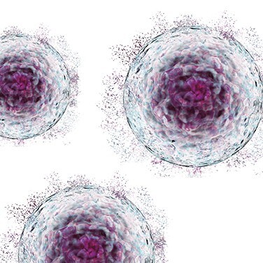 Scaling Up Zelltherapie Scaling Up Zelltherapie