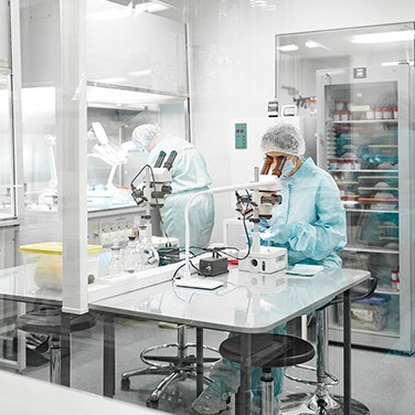 Wissenschaftler schauen durch ein Mikroskop Wissenschaftler schauen durch ein Mikroskop