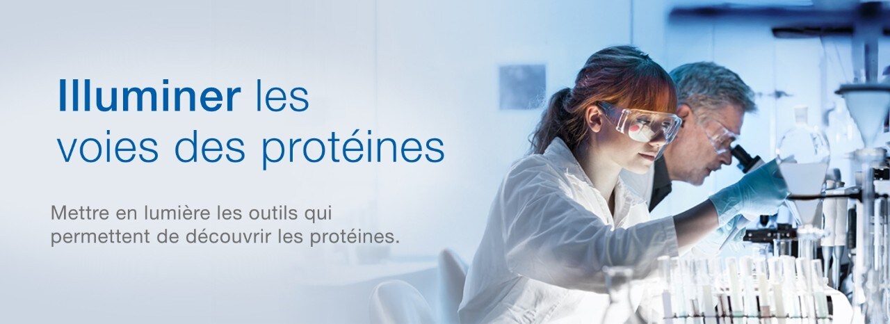 24148_Focus_on_Protein_Analysis_banner_page_desktop_FR 24148_Focus_on_Protein_Analysis_banner_page_desktop_FR