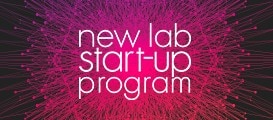 NLSU Program