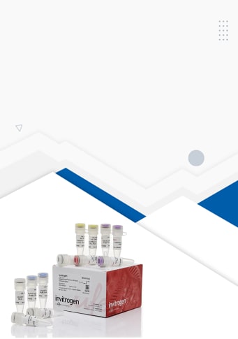 Product banner