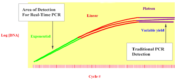 Traditional PCR Measures