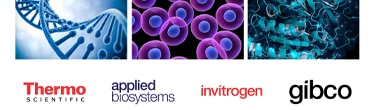 A Dedicated Solution for Microbial Growth Analysis