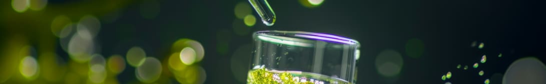 Monthly Promo banner