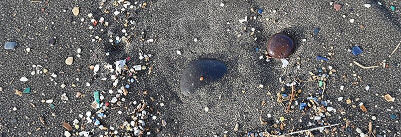 Microplastics: Investigating Risk and Understanding Evidence