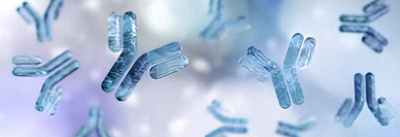 The Rise of Monoclonal Antibodies as Blockbuster Drugs 