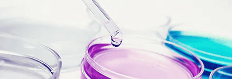 Finding New Ways to Control Cell Culture Contamination