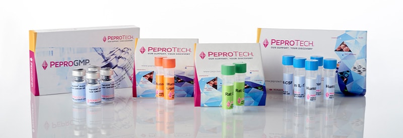 Choosing Cytokines for Consistency: A Case Study of FGF-Basic for Use with Pluripotent Stem Cells, from Research to Manufacturing