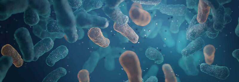 Bioprocessing Safety Essentials: Endotoxin, Mycoplasma, and Sterility Testing 