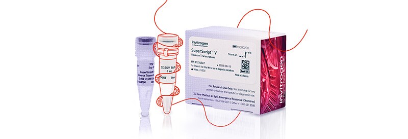 Ny Invitrogen SuperScript V revers transkriptase