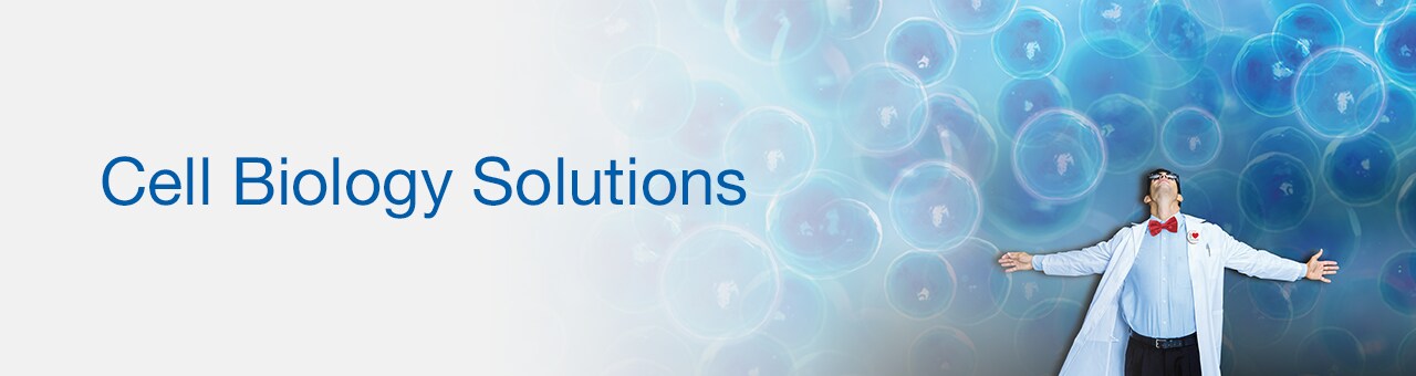 Cell Biology Solutions Cell Biology Solutions