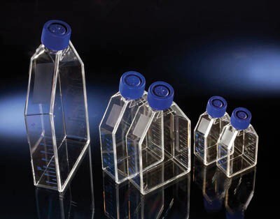 10041542_GRP_A Thermo Scientific Nunc™ Cell Culture Treated EasYFlasks