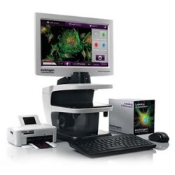 q2-results-cell-culture-workflow-solutions-imaging-product-95872 Cell culture workflow solutions imagining product buy