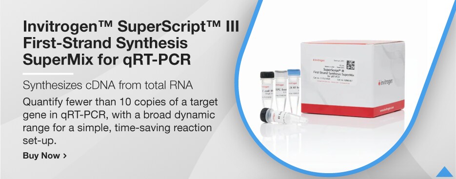 Invitrogen™ SuperScript™ III First-Strand Synthesis SuperMix for qRT-PCR